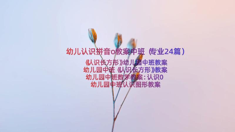 幼儿认识拼音o教案中班（专业24篇）