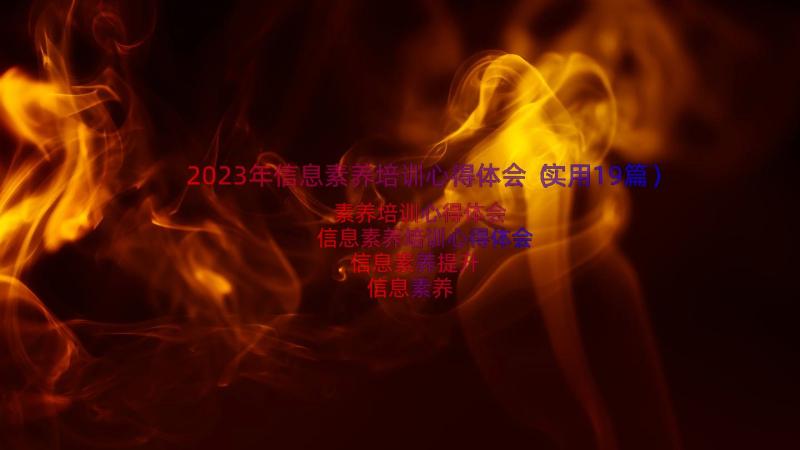 2023年信息素养培训心得体会（实用19篇）