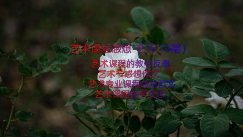 艺术课程感想（汇总19篇）