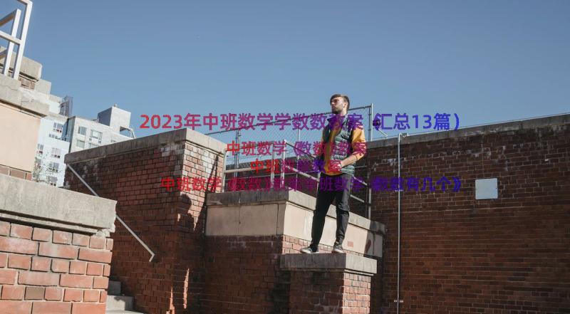 2023年中班数学学数数教案（汇总13篇）