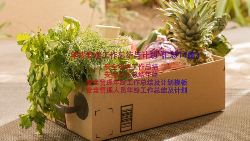 年终安全工作总结与计划（汇总14篇）