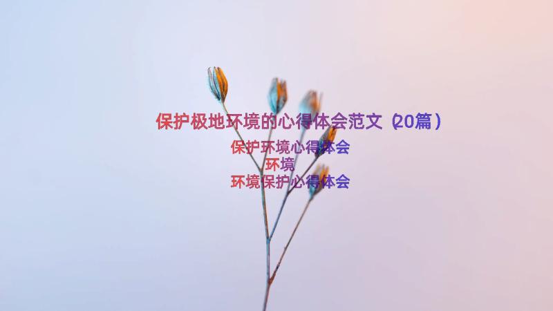 保护极地环境的心得体会范文（20篇）