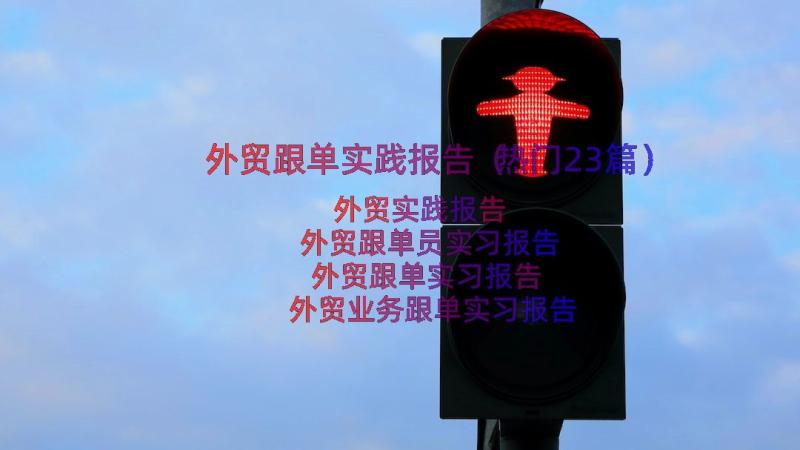 外贸跟单实践报告（热门23篇）