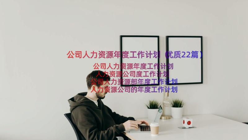 公司人力资源年度工作计划（优质22篇）