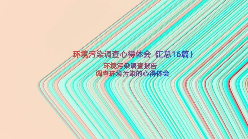 环境污染调查心得体会（汇总16篇）