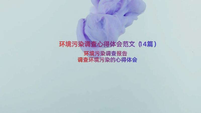 环境污染调查心得体会范文（14篇）