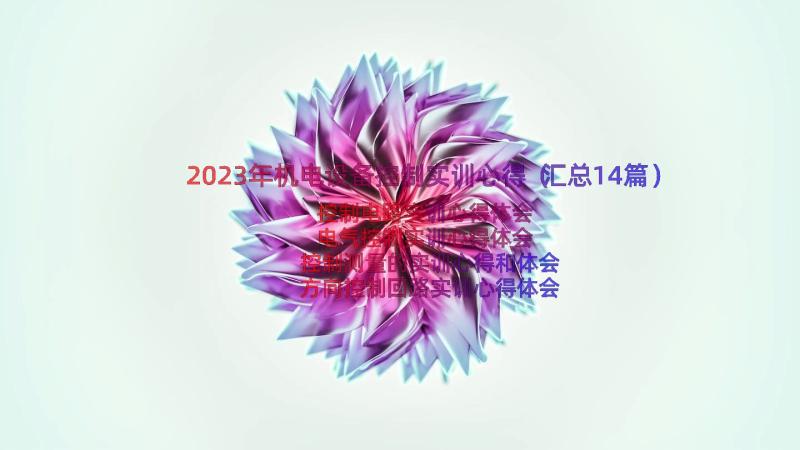 2023年机电设备控制实训心得（汇总14篇）