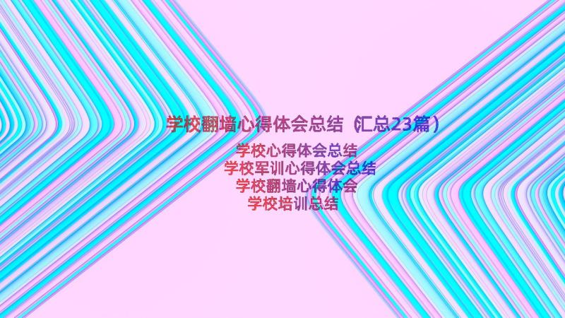 学校翻墙心得体会总结（汇总23篇）