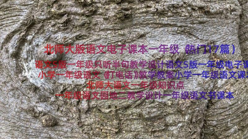 北师大版语文电子课本一年级（热门17篇）