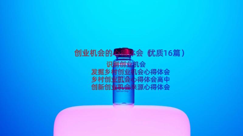 创业机会的心得体会（优质16篇）