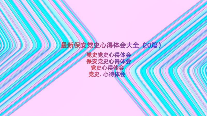 最新保安党史心得体会大全（20篇）