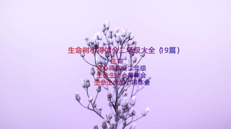 生命树心得体会二年级大全（19篇）