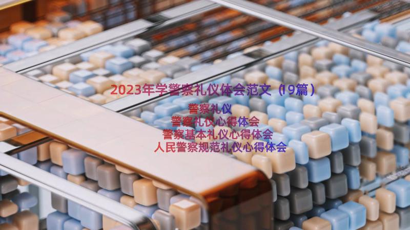 2023年学警察礼仪体会范文（19篇）