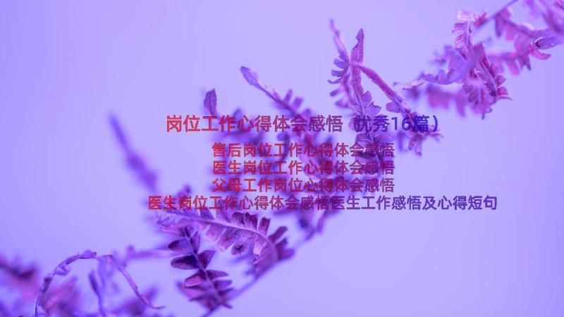 岗位工作心得体会感悟（优秀16篇）