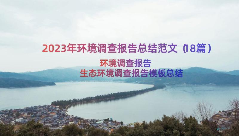 2023年环境调查报告总结范文（18篇）