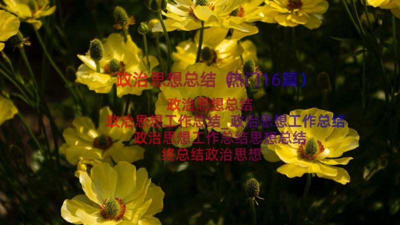 政治思想总结（热门16篇）