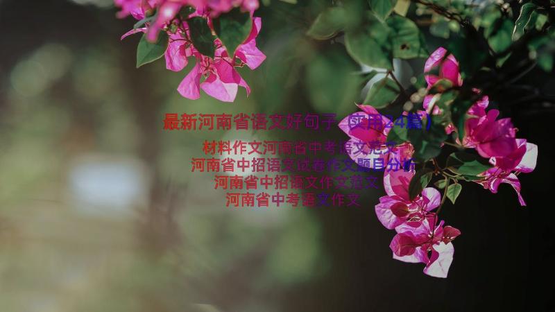 最新河南省语文好句子（实用24篇）