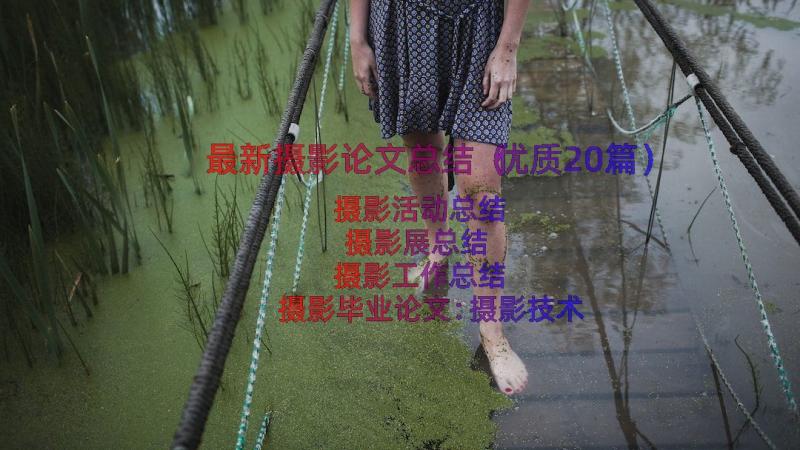 最新摄影论文总结（优质20篇）