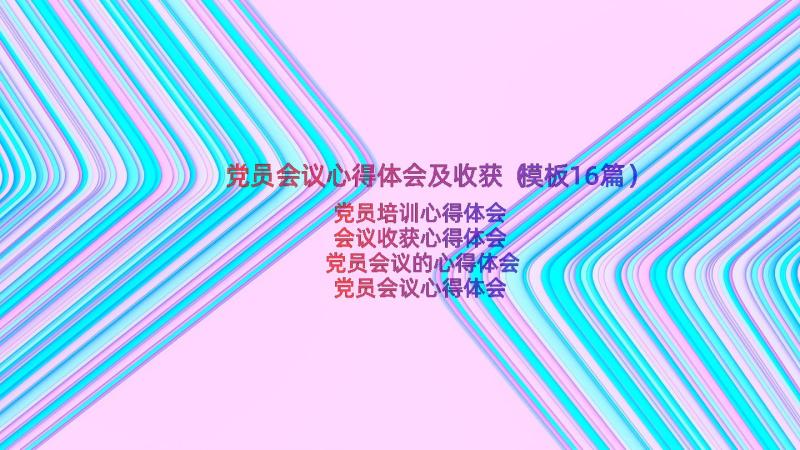 党员会议心得体会及收获（模板16篇）