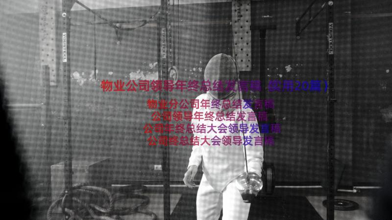 物业公司领导年终总结发言稿（实用20篇）