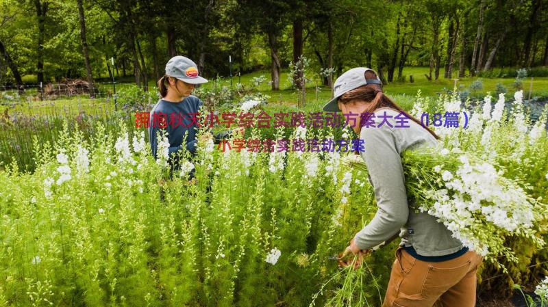 拥抱秋天小学综合实践活动方案大全（18篇）