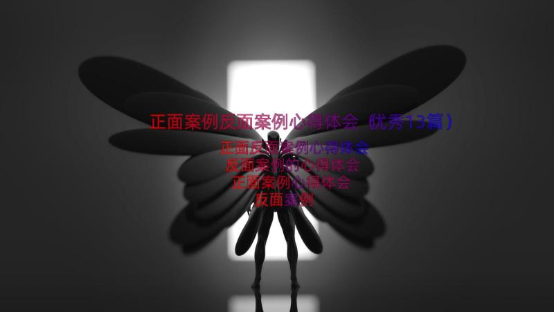 正面案例反面案例心得体会（优秀13篇）