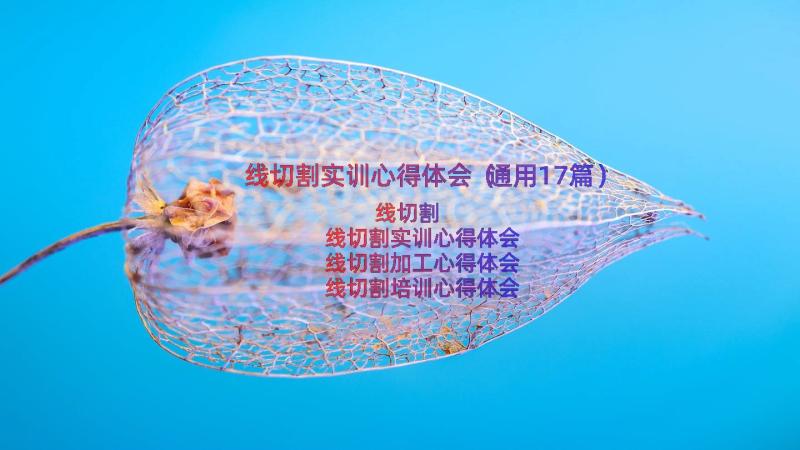 线切割实训心得体会（通用17篇）