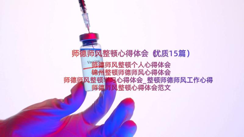 师德师风整顿心得体会（优质15篇）