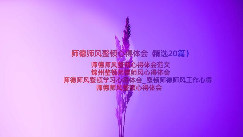 师德师风整顿心得体会（精选20篇）