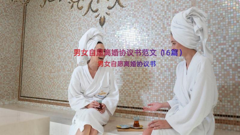 男女自愿离婚协议书范文（16篇）