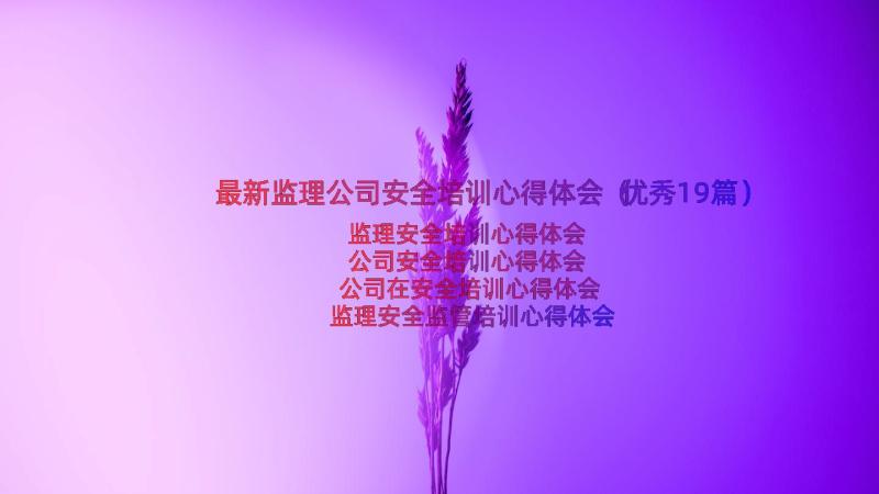 最新监理公司安全培训心得体会（优秀19篇）