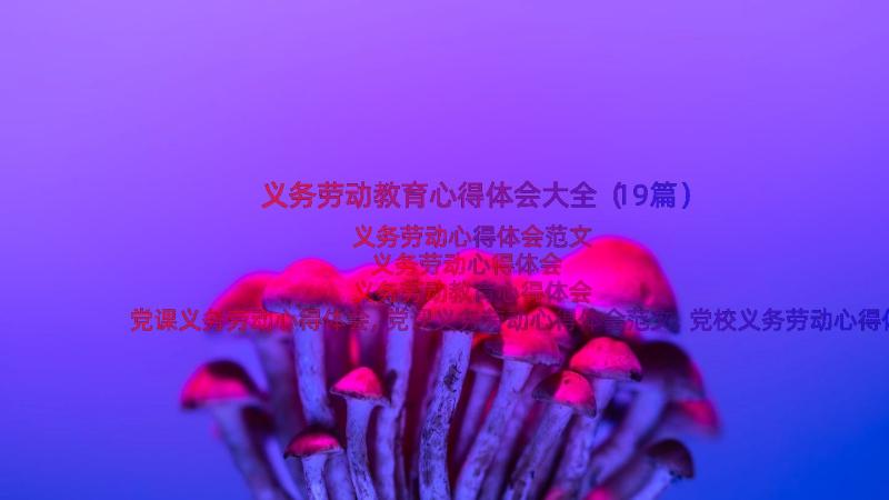 义务劳动教育心得体会大全（19篇）