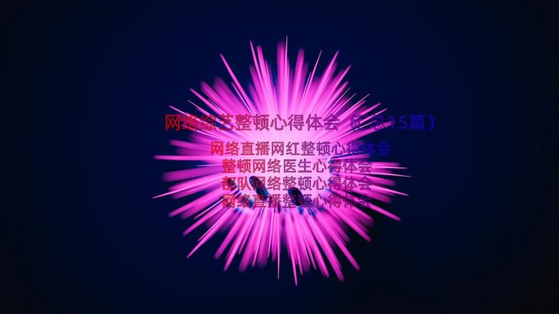 网络综艺整顿心得体会（汇总15篇）