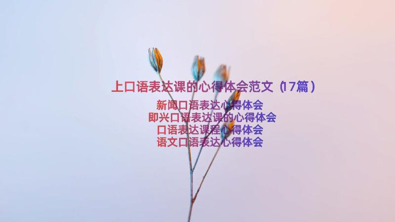 上口语表达课的心得体会范文（17篇）