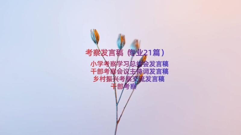 考察发言稿（专业21篇）