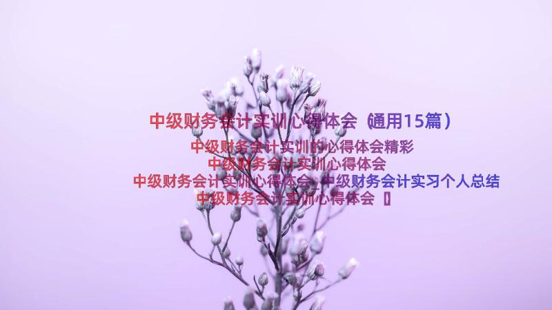 中级财务会计实训心得体会（通用15篇）