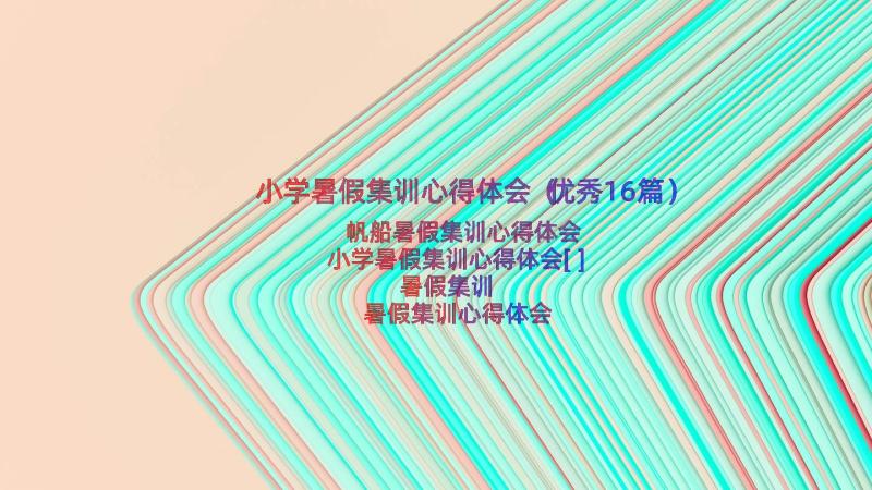 小学暑假集训心得体会（优秀16篇）