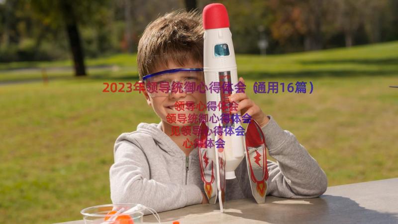 2023年领导统御心得体会（通用16篇）