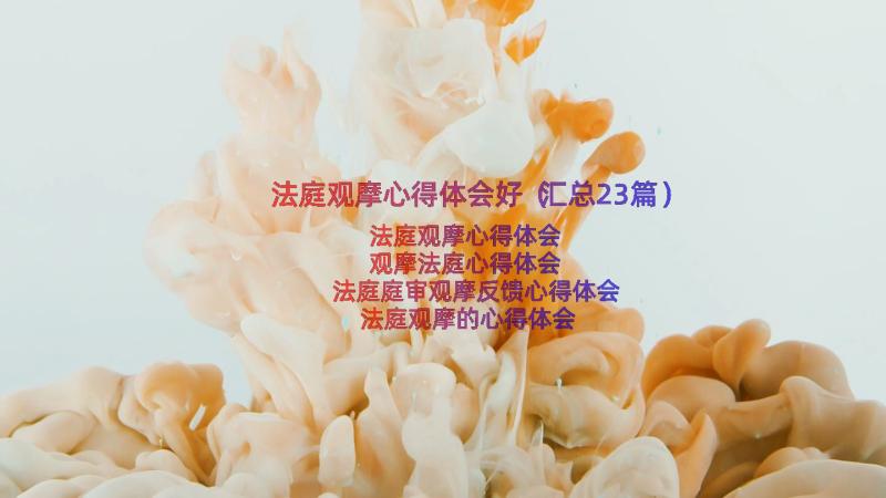 法庭观摩心得体会好（汇总23篇）