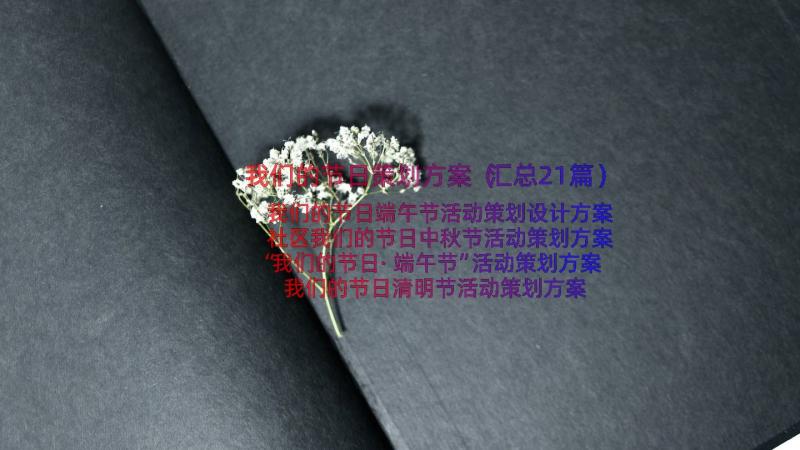 我们的节日策划方案（汇总21篇）