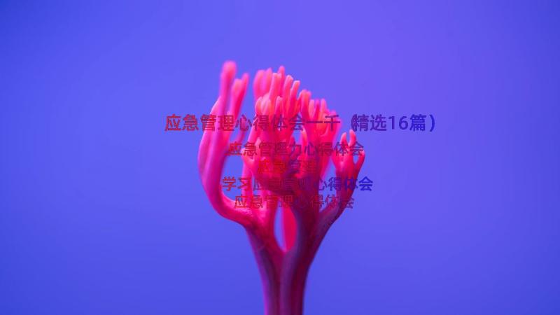 应急管理心得体会一千（精选16篇）