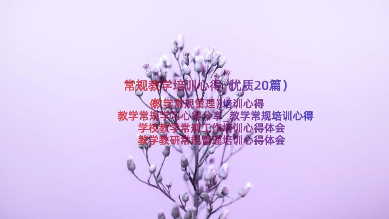 常规教学培训心得（优质20篇）