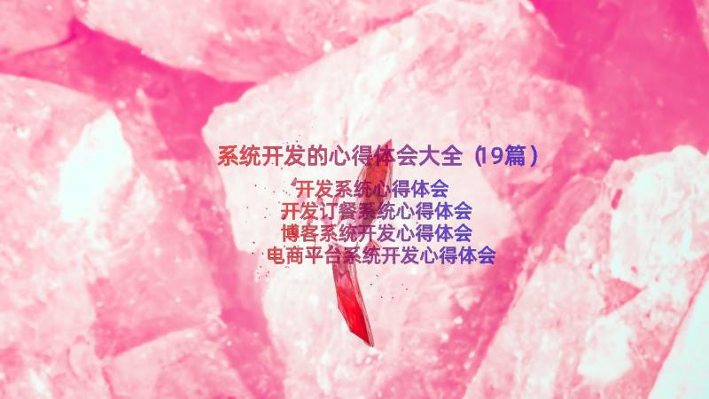 系统开发的心得体会大全（19篇）