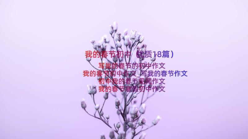 我的春节初中（优质18篇）