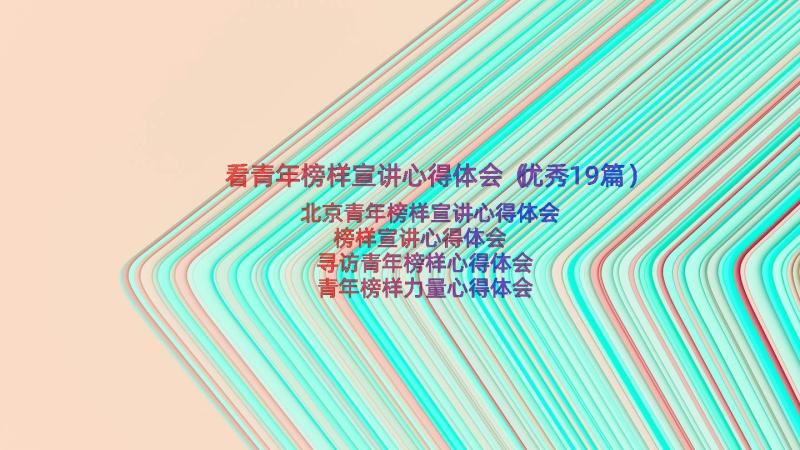 看青年榜样宣讲心得体会（优秀19篇）