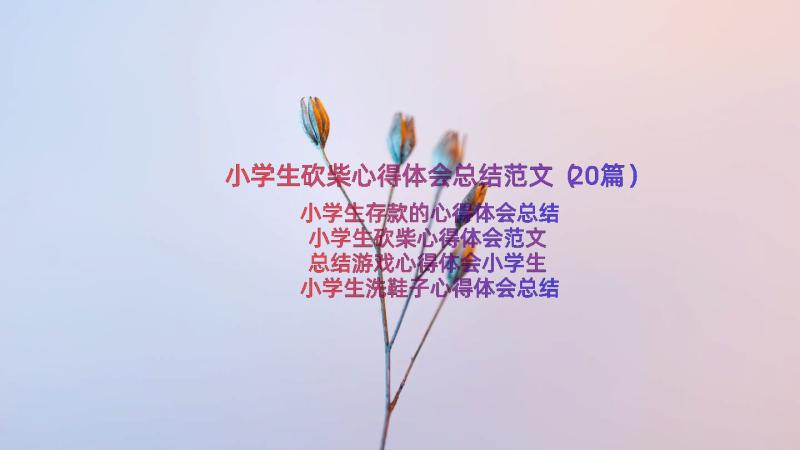 小学生砍柴心得体会总结范文（20篇）