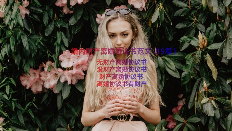 婚内财产离婚协议书范文（19篇）