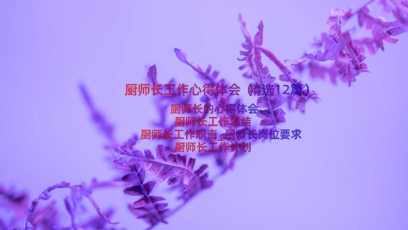 厨师长工作心得体会（精选12篇）