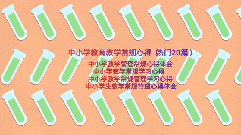 中小学教育教学常规心得（热门20篇）