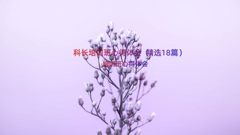 科长培训班心得体会（精选18篇）